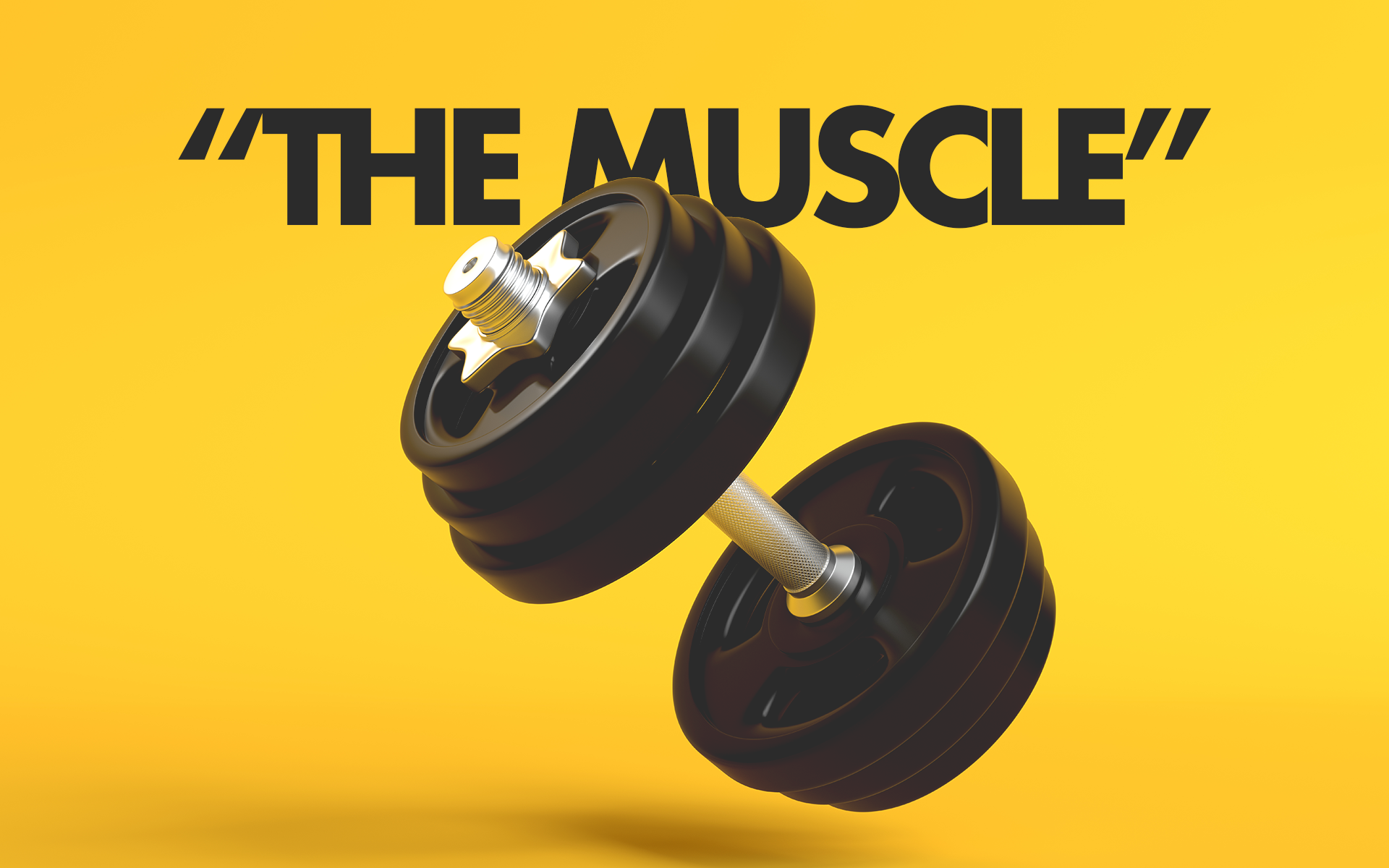 the_muscle